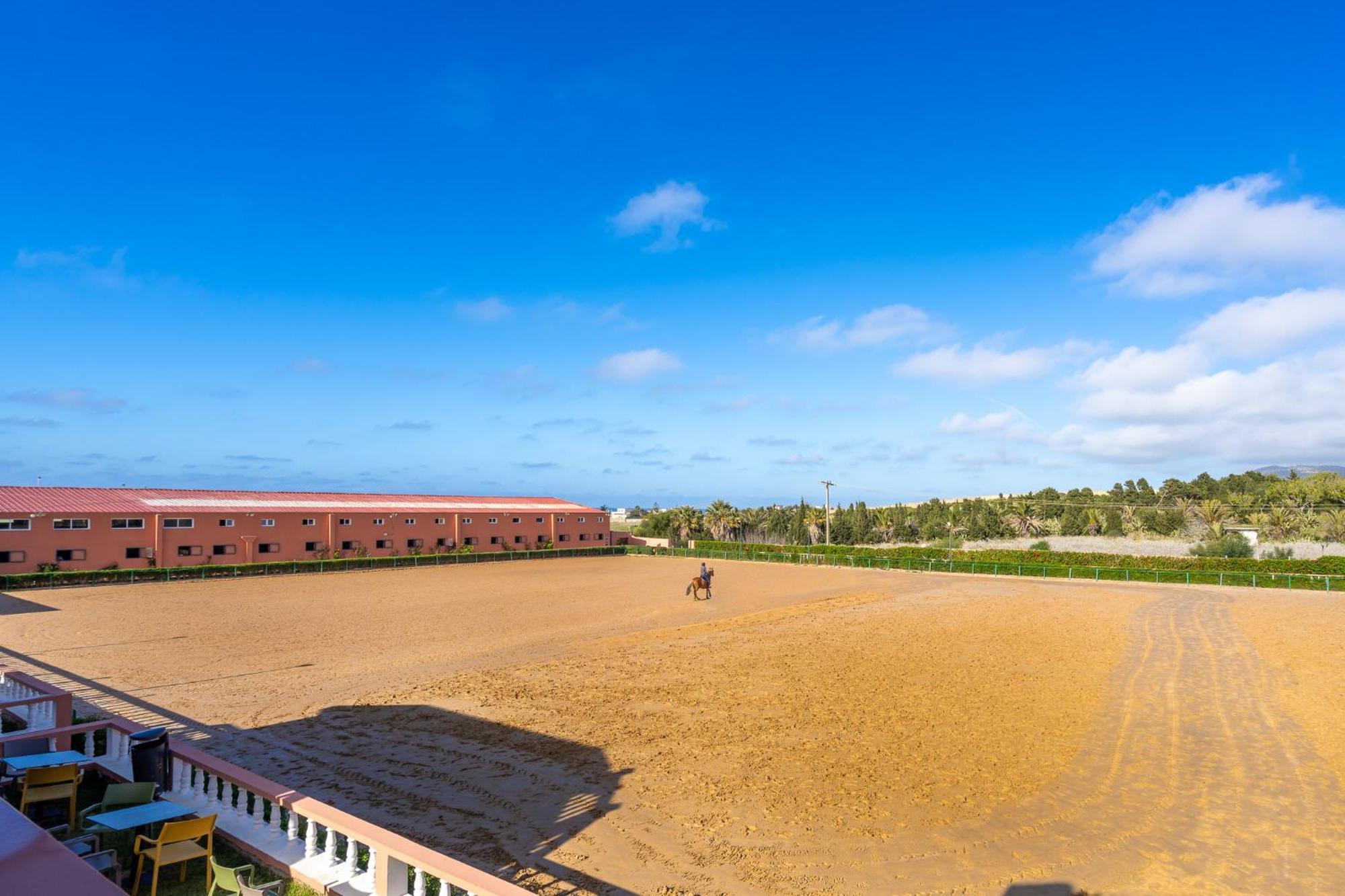 Royal Club Equestre Detroit Tanger