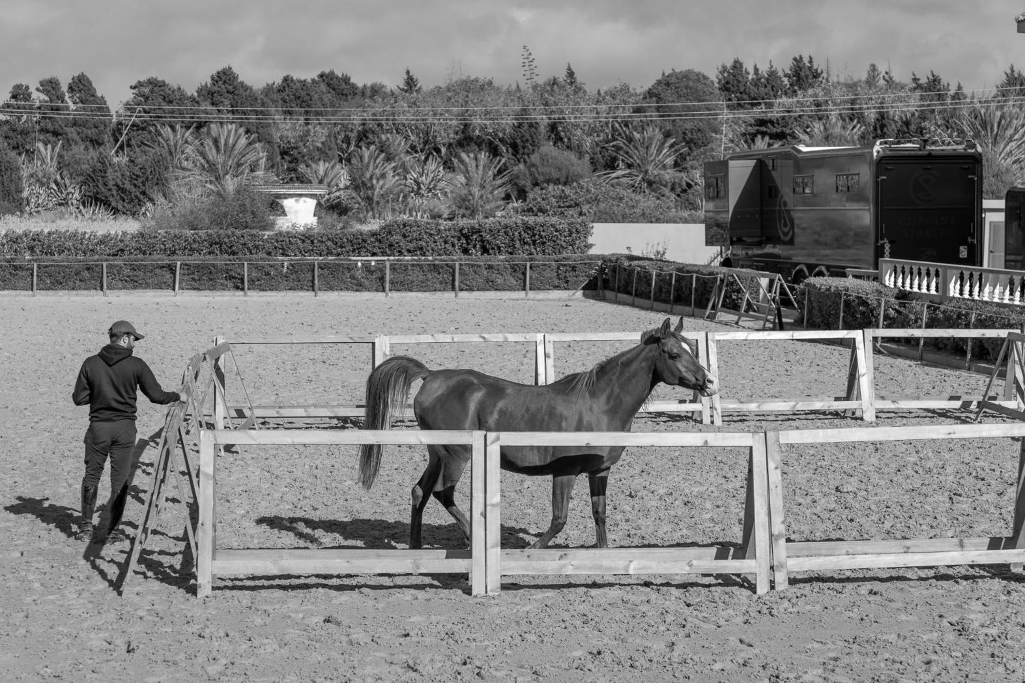 Bauernhof Royal Club Equestre Detroit Tanger