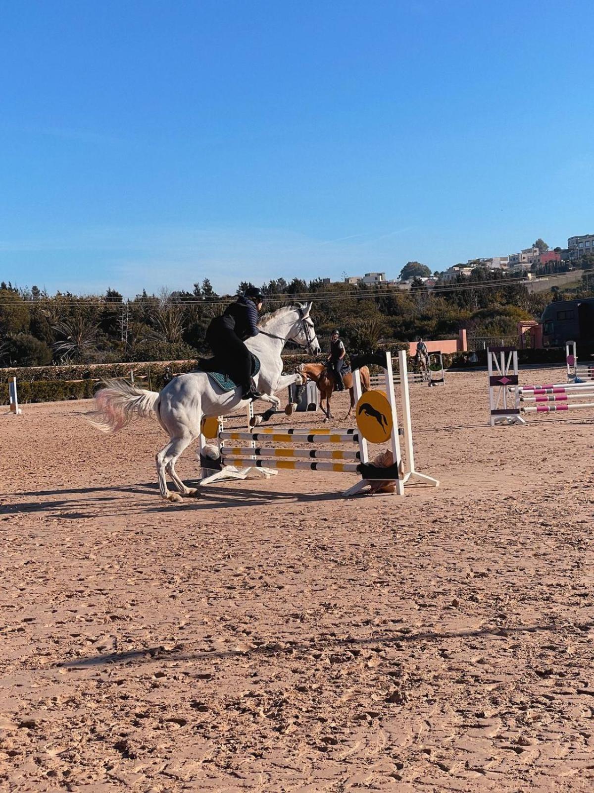 Royal Club Equestre Detroit Tanger